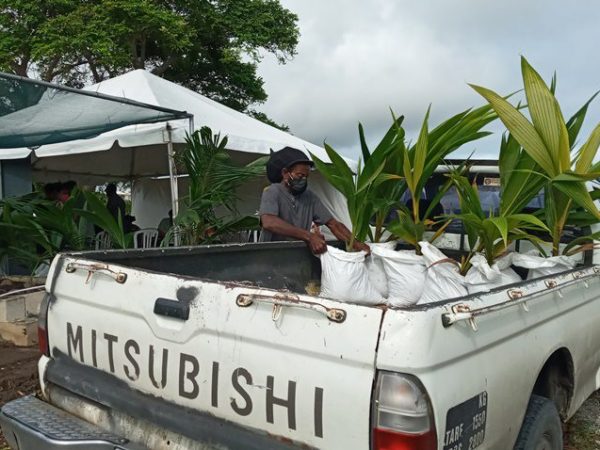 Coconut Industry Ready To Be A Commodity For The Future