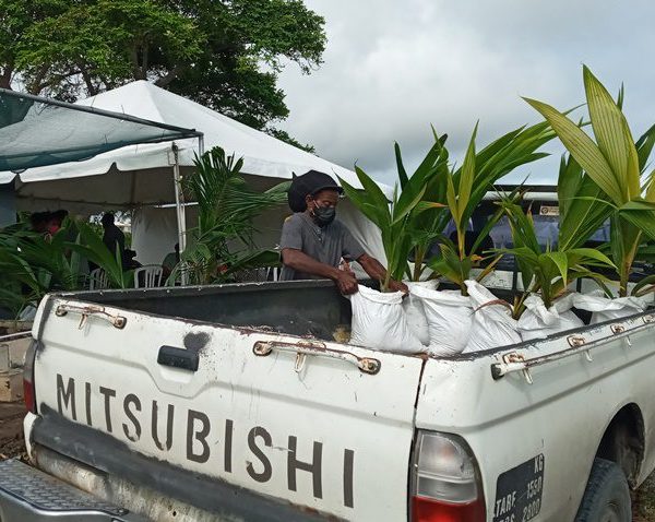 Coconut Industry Ready To Be A Commodity For The Future